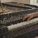 Piano Moving Service