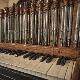 Organ Maintenance Service