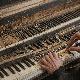Piano Repair Service